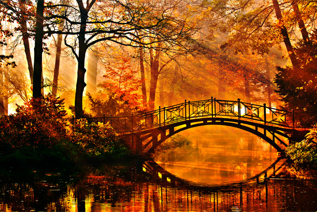 Fotomurales puente sobre el lago